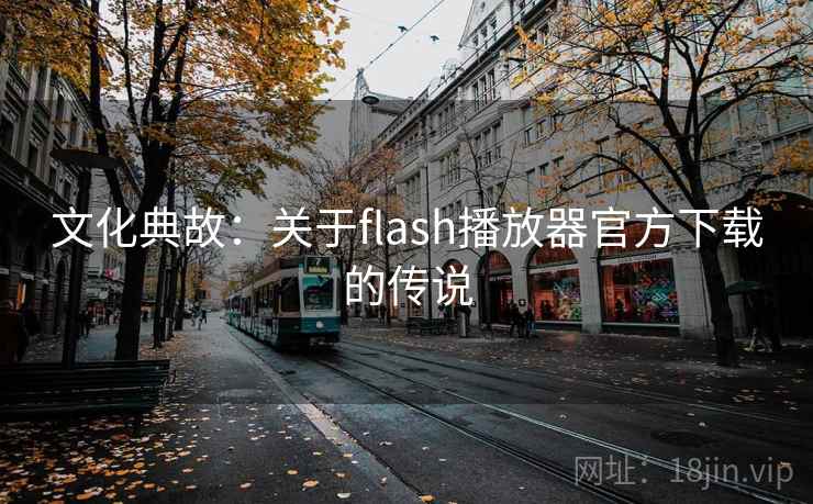 文化典故:关于flash播放器官方下载的传说