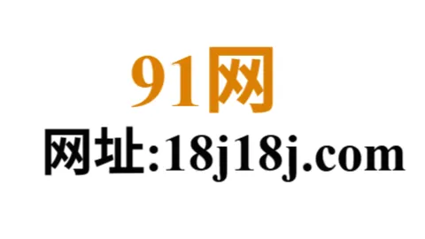 91网
